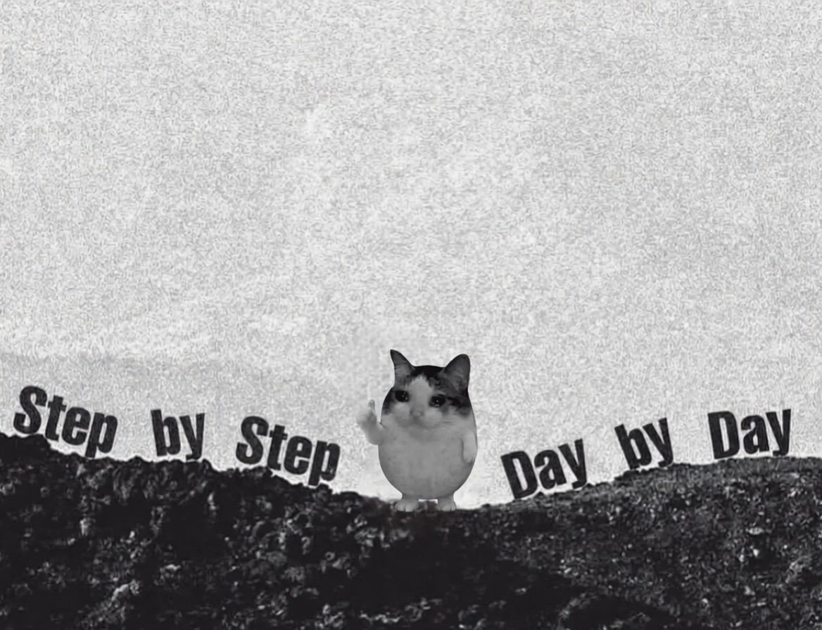 OK Cat meme wall image 03